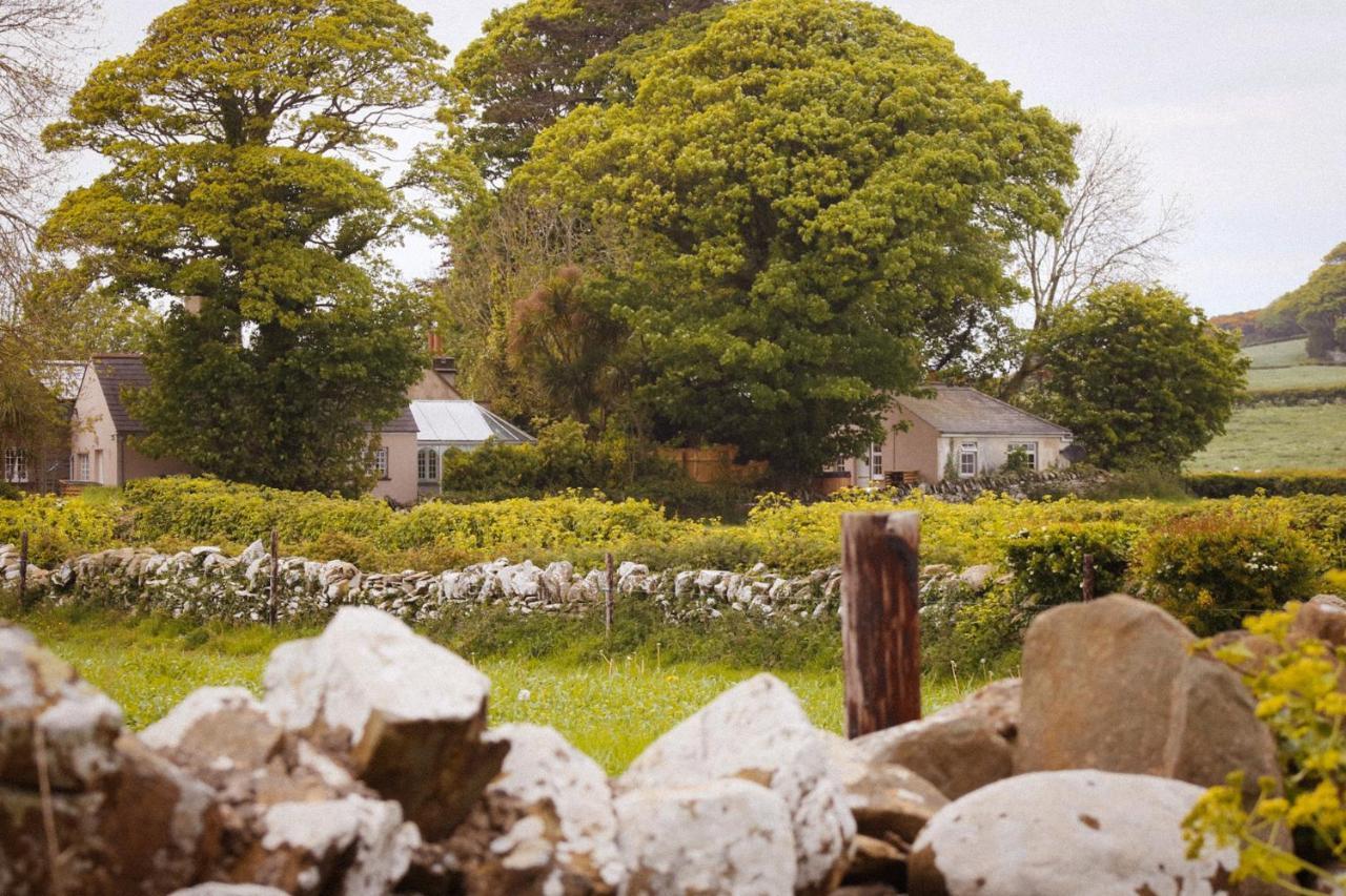 The Alms House Strangford Villa Dış mekan fotoğraf